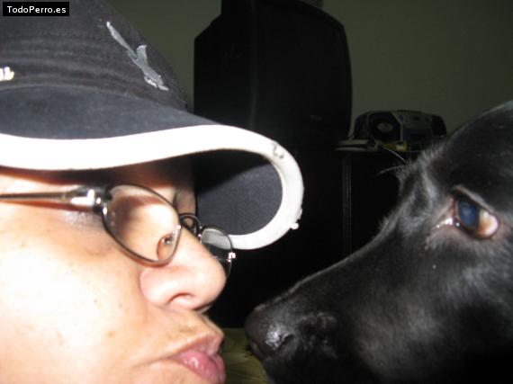 La foto del perro