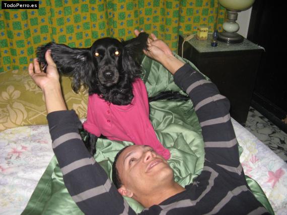 La foto del perro