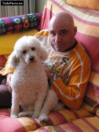 La foto del perro