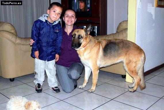 La foto del perro