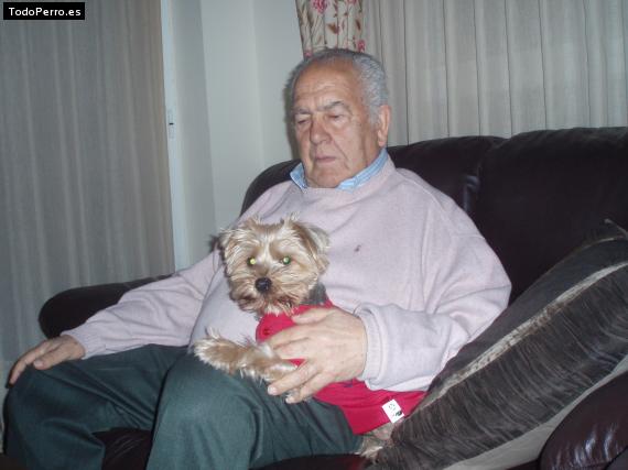 La foto del perro