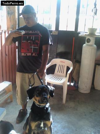 La foto del perro