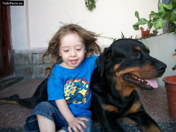 La foto del perro