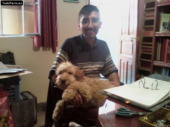 La foto del perro