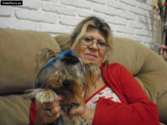 La foto del perro