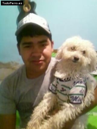 Foto del perro Huesos