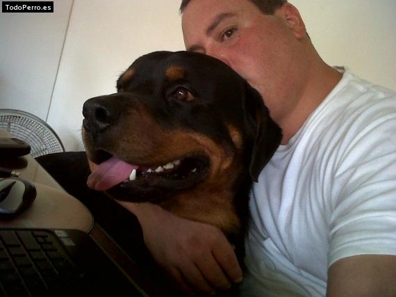 La foto del perro