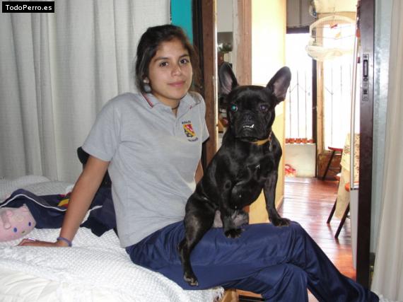 La foto del perro