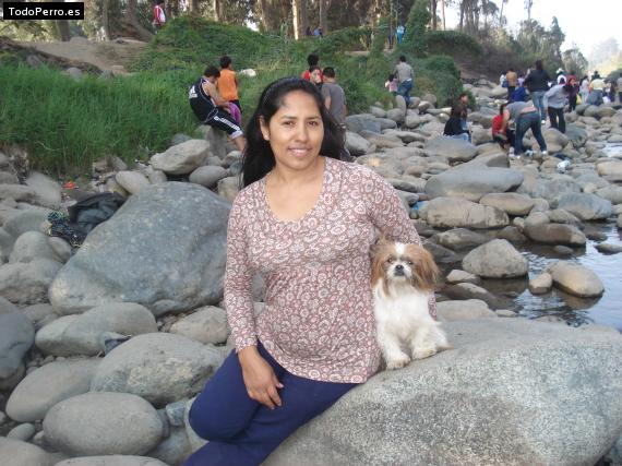 La foto del perro