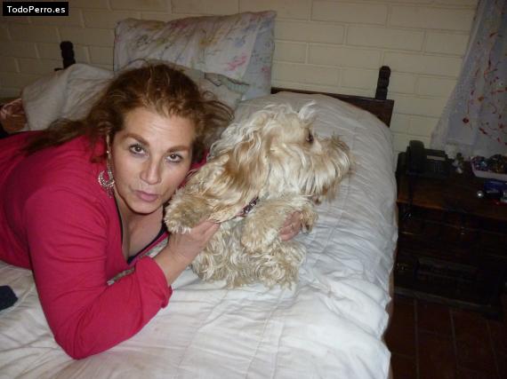 La foto del perro