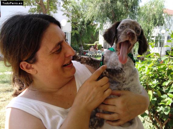 La foto del perro
