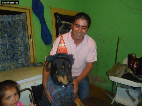 La foto del perro