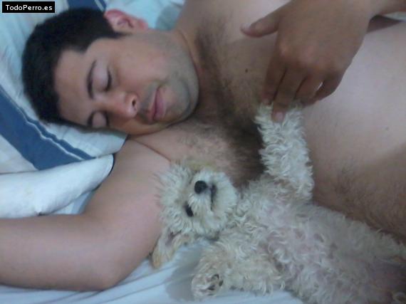 La foto del perro
