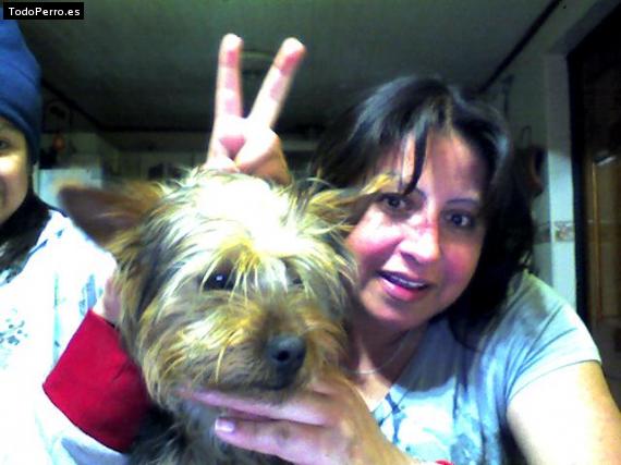 La foto del perro