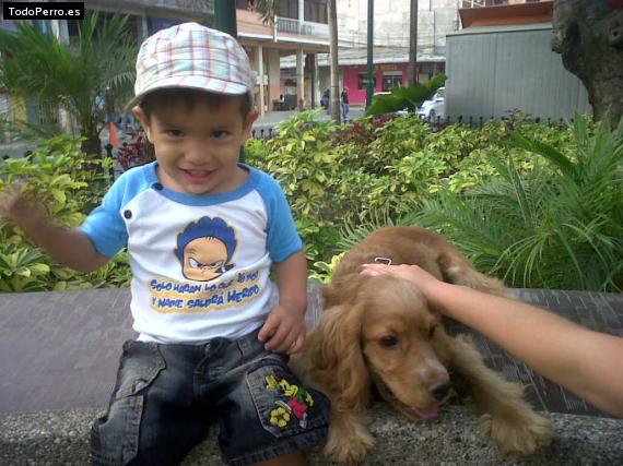 La foto del perro