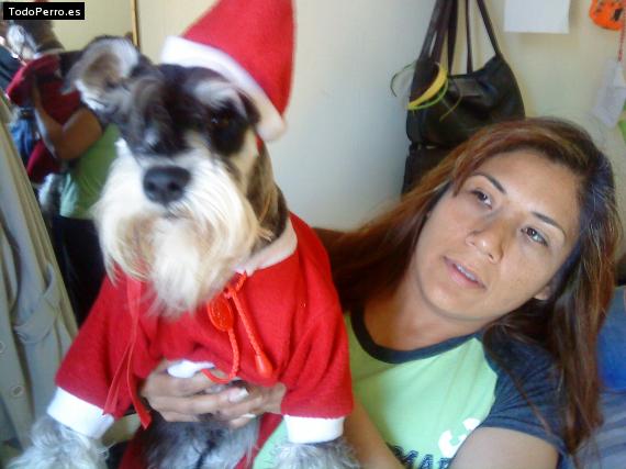 La foto del perro