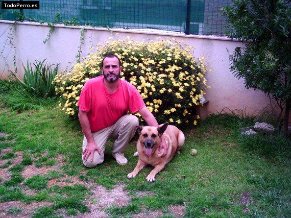 La foto del perro