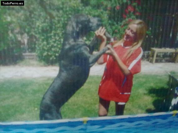 La foto del perro