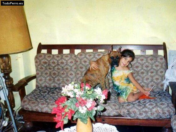 La foto del perro