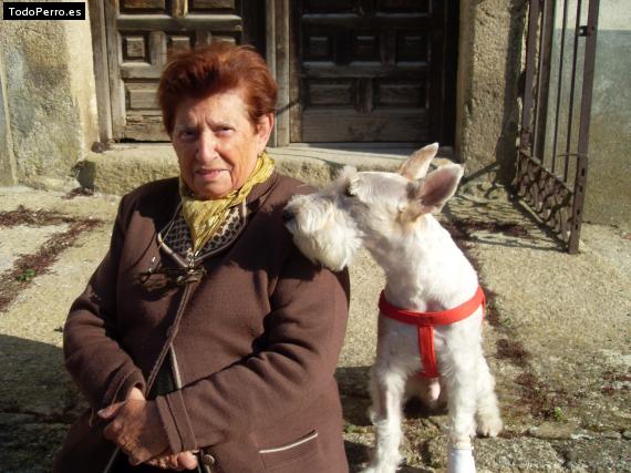 La foto del perro