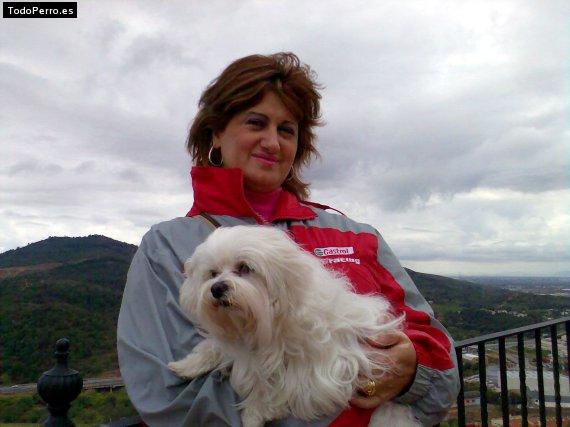 La foto del perro