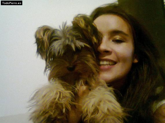 La foto del perro