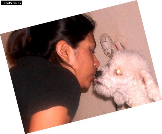 La foto del perro