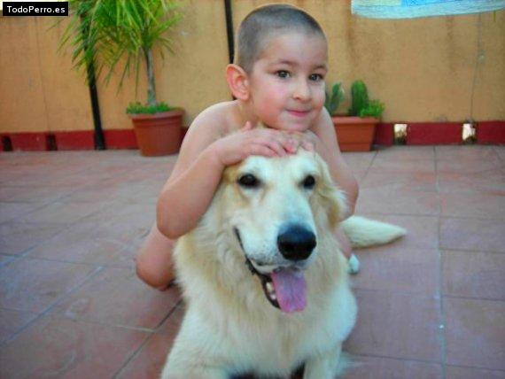 La foto del perro