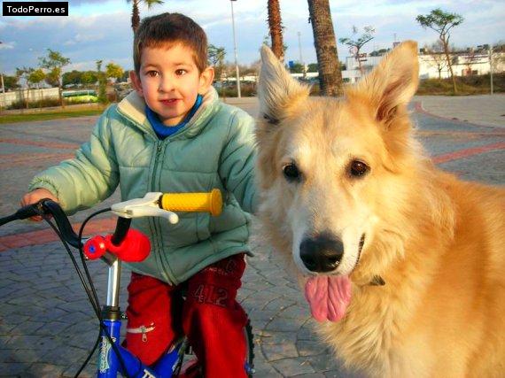 La foto del perro