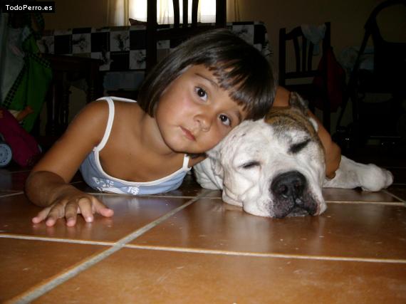 La foto del perro