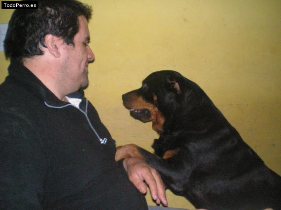 La foto del perro