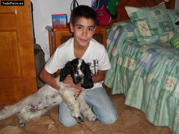 La foto del perro