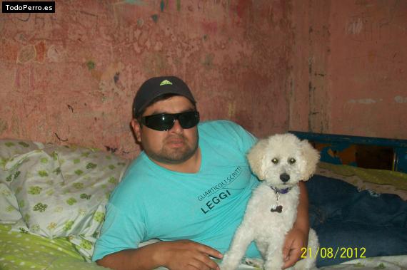La foto del perro