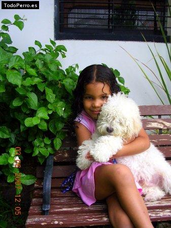 La foto del perro