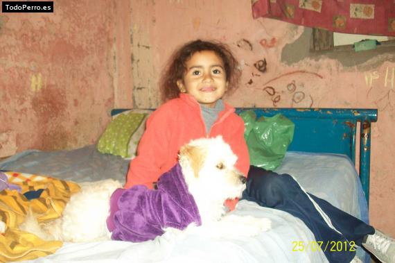 La foto del perro