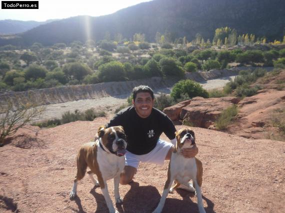 La foto del perro