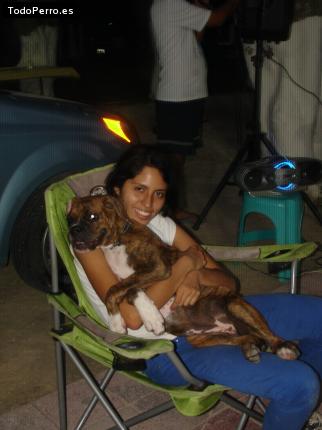 La foto del perro