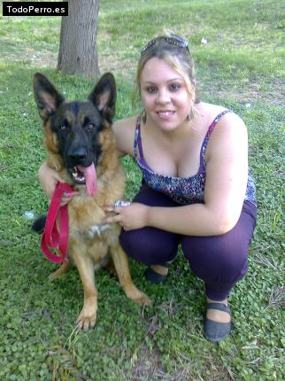 La foto del perro