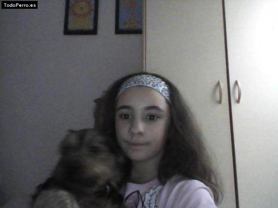 Foto del perro Hugo