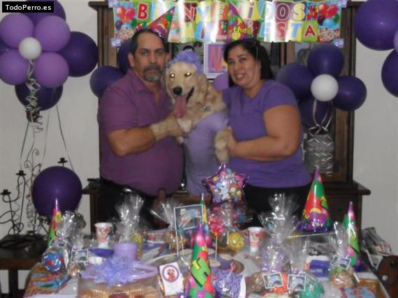 La foto del perro