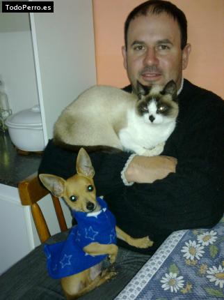 La foto del perro