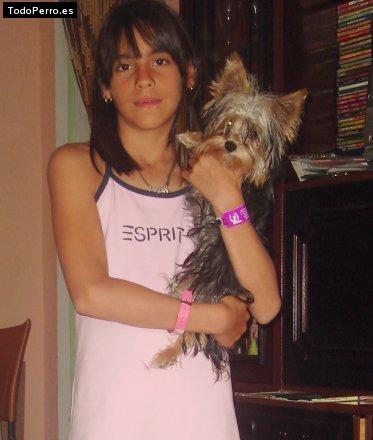 La foto del perro