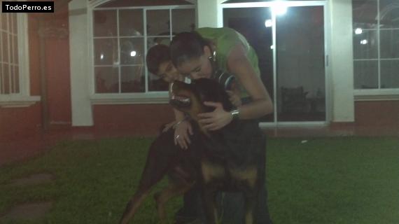La foto del perro