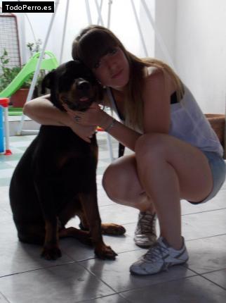 La foto del perro