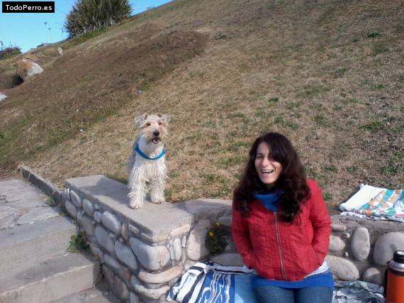 La foto del perro