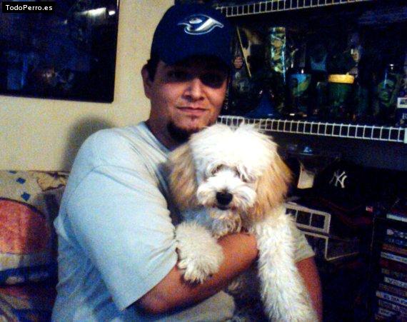 La foto del perro