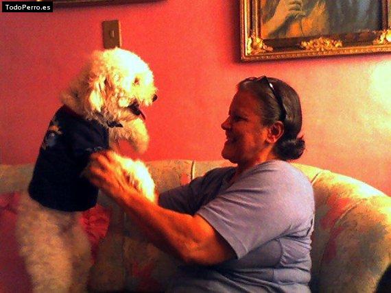 La foto del perro