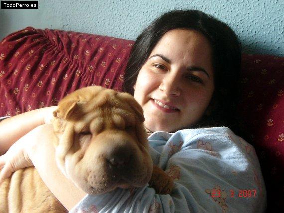 La foto del perro