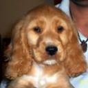 Lola