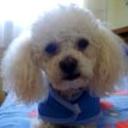 Micky